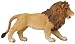Wild Safari Jungle - Angolan Lion