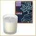 Bloom of LOTUS �t���O�����X�L�����h���@�C�����C���� 150g