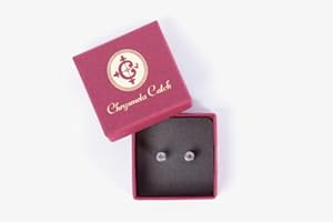 Chrysmela Catch Hypo Allergenic High Tech Replacement Earring Back for Post Earrings Platinum