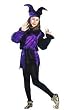 CHILD Court Jester in Polyester - DIFFERENT THAN PICTURED - POLYESTER NOT SATIN (Shoes not included)
