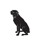 Hound Dog Pet Rhodesian Ridgeback Car Truck Vehicle Bumper Helmet Decal Sticker Wall Art Laptop Design Skin Stickers