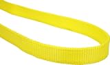 Mazzella EN1-901 Nylon Synthetic Heavy Duty Web Sling with Endless 1 Ply, 3' L x 1