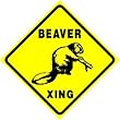 BEAVER CROSSING sign * street animal zoo