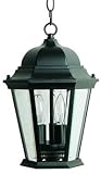 1009PE - Exterior Pendants Maxim Lighting