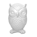 Kikkerland Owl Coin Bank