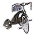 Sky Princess Tricycle