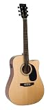 Recording King Cutaway Acoustic Guitar, Solid Top, Mahogany
