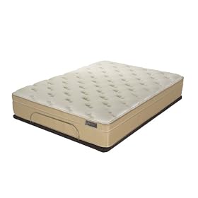Adjustables S-Cape Queen Adjustable Platform Base with Eurotop Mattress