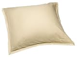DKNY Iridescent Sheer European Sham, Champagne
