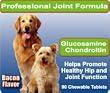 Glucosamine Chondroitin for Dogs - 90 Chewable Tablets