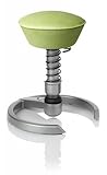 SWOPPER CLASSIC 3D-Aktiv-Bürostuhl Hocker Sitzpolster Normal, Farbe pistacchio, Fussring mit Filzgleiter, Feder SMALL, Basis Titan, Federfarbe schwarz (SWOP22TFSML)