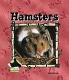 Hamsters (Animal Kingdom)