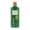 Thicker Fuller Hair Revitalizing Shampoo - 12 fl oz