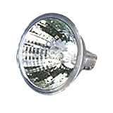 Apollo Overhead ENX Projector Replacement Lamp