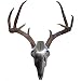 New - Do All Iron Buck Antler Mount Kit - DO-IBAM2