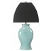 Kenroy Home 02486 Gia Table Lamp in Lagoon with Chocolate Microfiber Shade