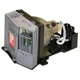 Optoma Technol LAMP FOR EP758/EP751 250WATT ( SP81C01001 )
