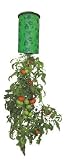 Topsy Turvy Planter