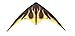 HQ Bebop Sport Kite (Fire)