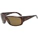 Arnette Cheat Sheet Adult Polarized Lifestyle Sunglasses/Eyewear - Havana/Brown Arnette Cheat Sheet Adult Polarized Lifestyle Sunglasses/Eyewear - Havana/Brown