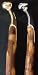Hickory Hames Cane/walking Stick. Amish Handmade with Minto Hame Handle. Heavy Duty. The Minto Hame Tip Used As a Top Handle for This Can or Walking Stick. 8