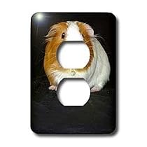 Guinea Pig - Guinea Pig - Light Switch Covers - 2 plug outlet cover