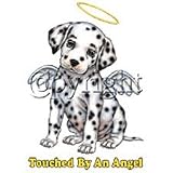 Touched By An Angel~dalmatian Youth Sweatshirt