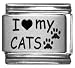 Clearly Charming I Heart my Cats Laser Etched Italian Charm