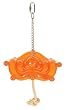 Nature's Instinct Rythemwise Silly Saucer Small for Parakeets, Cockatiels, and Similar Birds