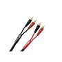 Monster Z1 ML-15/15 Affordable Audiophile Speaker Cable with Monster Lock Master Pin, 1 Pair (15 ft.)