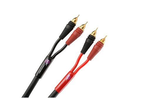 Monster Z1 ML-C10 Center Channel Affordable Audiophile Speaker Cable with Monster Lock Master Pin (10 ft.)