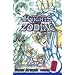 Knights of the Zodiac (Saint Seiya), Volume 9