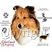Shetland Sheepdog Adult T-Shirt