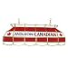Molson Canadian Stained Glass 40 inch Lighting Fixture