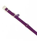 C Cat Sassy Collar W/bell 12-blue