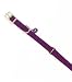 C Cat Sassy Collar W/bell 12-blue