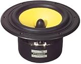 HiVi F6 6 Bass/Midrange