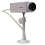 Indoor/Outdoor Simulated Security Camera