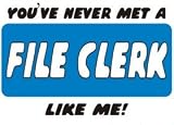  : YOU'VE NEVER MET A FILE CLERK LIKE ME! Two-Tone Raglan Sleeve Hooded Sweatshirt (Your Choice Of Colors)