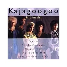 The Very Best of Kajagoogoo
