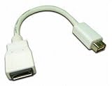 Mini DVI Male to HDMI Female Video Adapter Cable