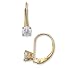 1/4 to 1 ct. tw. Round Diamond Solitaire Leverback Earrings