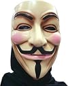 V for Vendetta mask