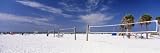Volleyball Nets on the Beach, Siesta Beach, Siesta Key, Florida, USA Photographic Poster Print by Panoramic Images , 40x120