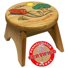 Mister Rodgers Trolley Step Stool Made in USA by Holgate