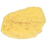Natural Sea Bath Sponge 7