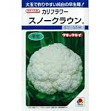 カリフラワー 種 スノークラウン L5千粒