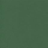 ADP Cardstock 8.5 x 11 - FOREST GREEN Single Sheet