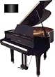 4'8 Petite Grand Piano (Ebony Polish)