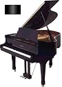 4'8" Petite Grand Piano (Ebony Polish)